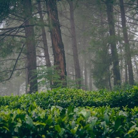 Himalaya Mount View Resort Kausani Zewnętrze zdjęcie
